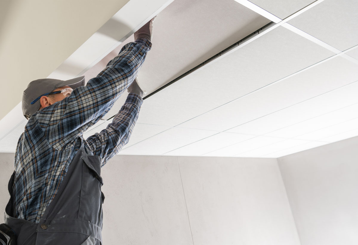 Ceiling Repair
